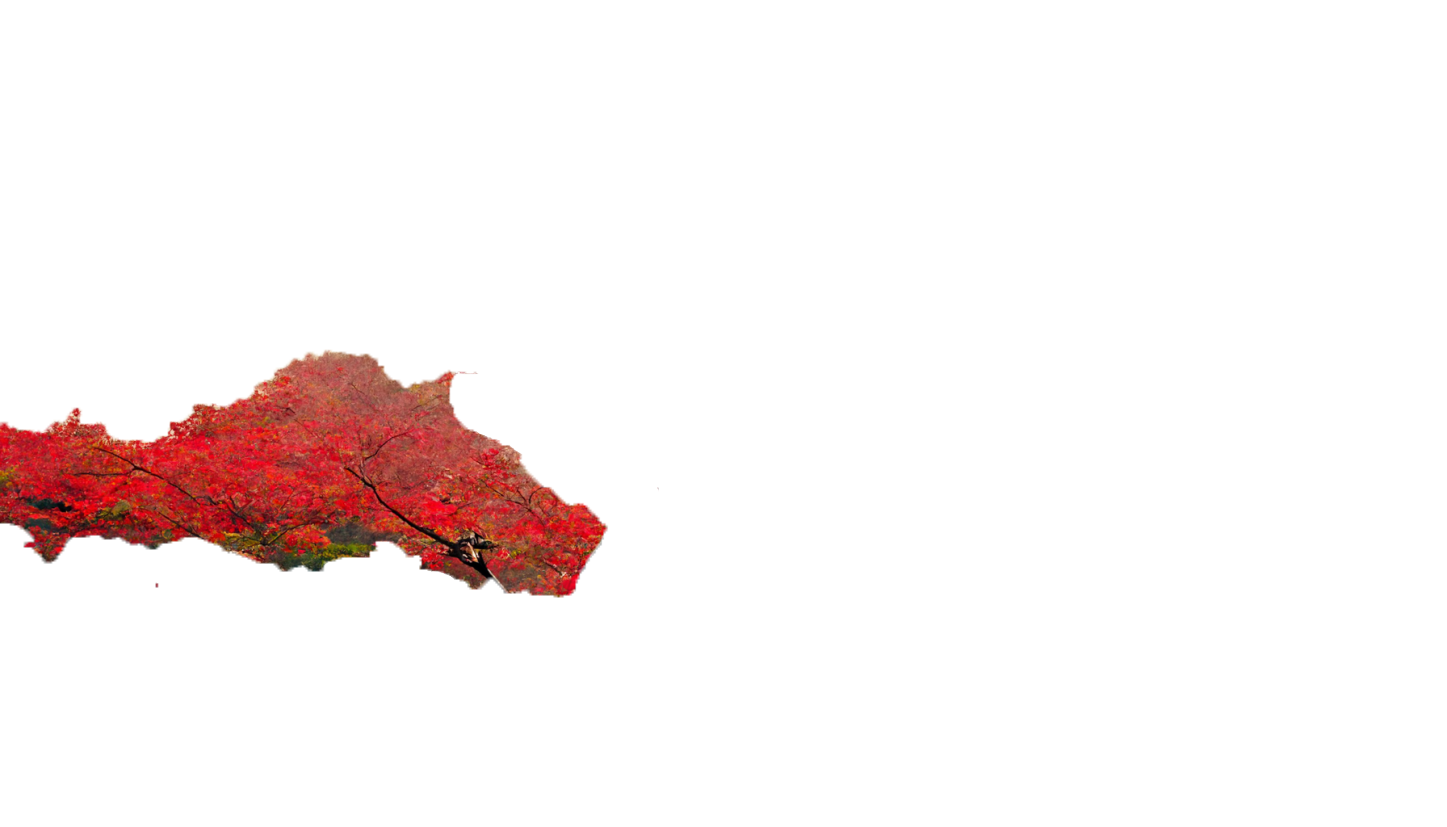 Left Trees Image